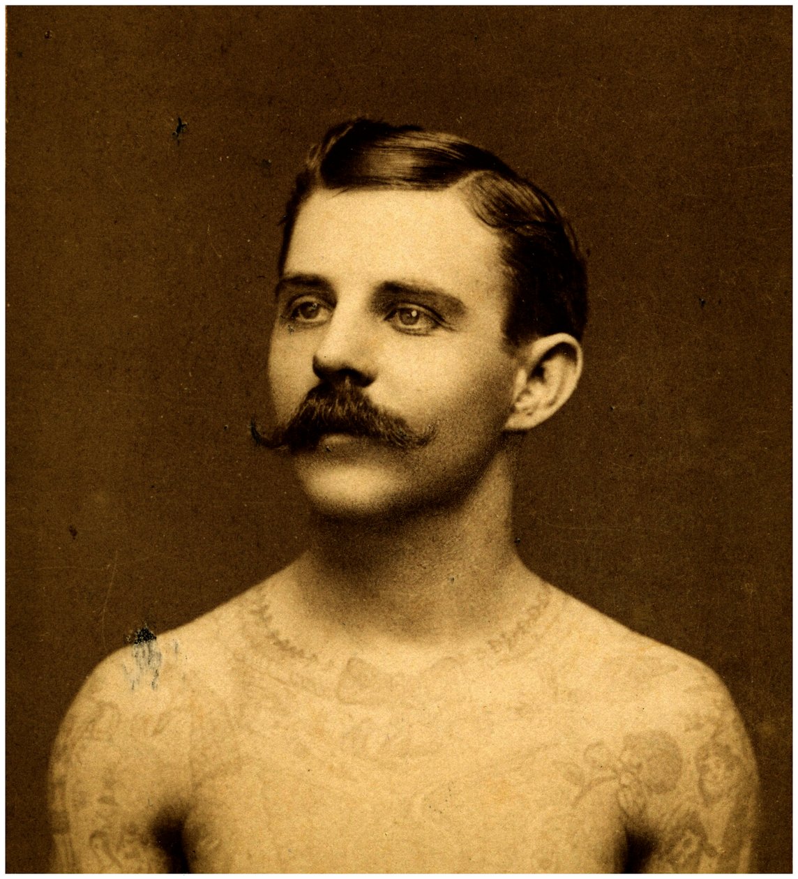 Frank Howard den tatoverede mand, ca. 1900 (skabskort) af Charles Eisenmann