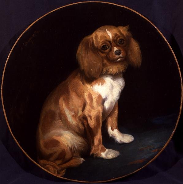 En King Charles Spaniel af Charles Emile Callande de Champmartin