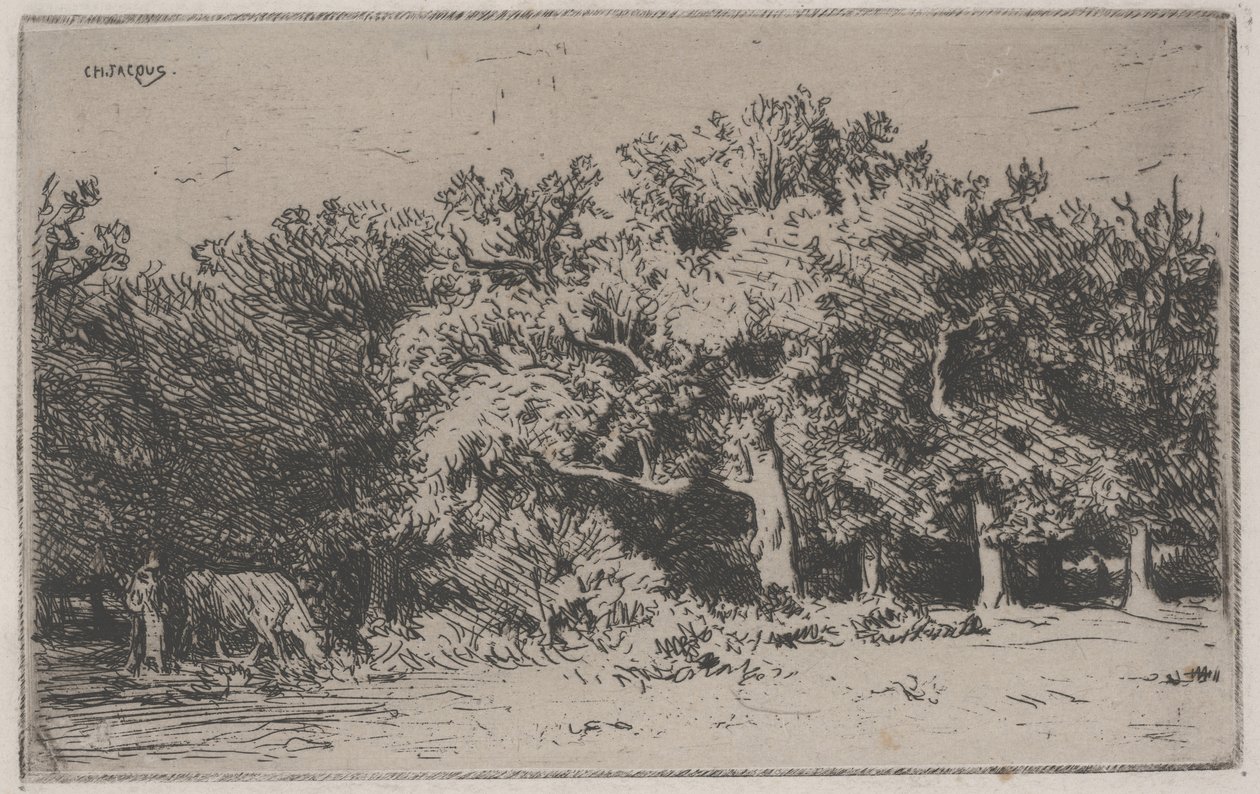 Et hjørne af skoven Fontainebleau (radering) af Charles Emile Jacque