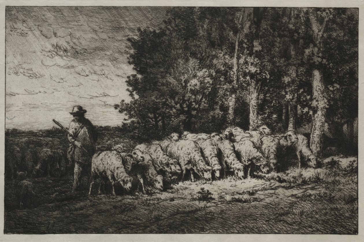 En flok i udkanten af en skov af Charles Emile Jacque