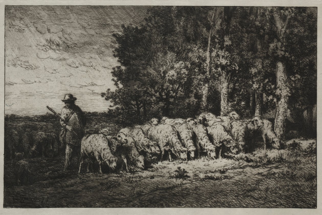 En flok i udkanten af en skov, 1880. af Charles Emile Jacque