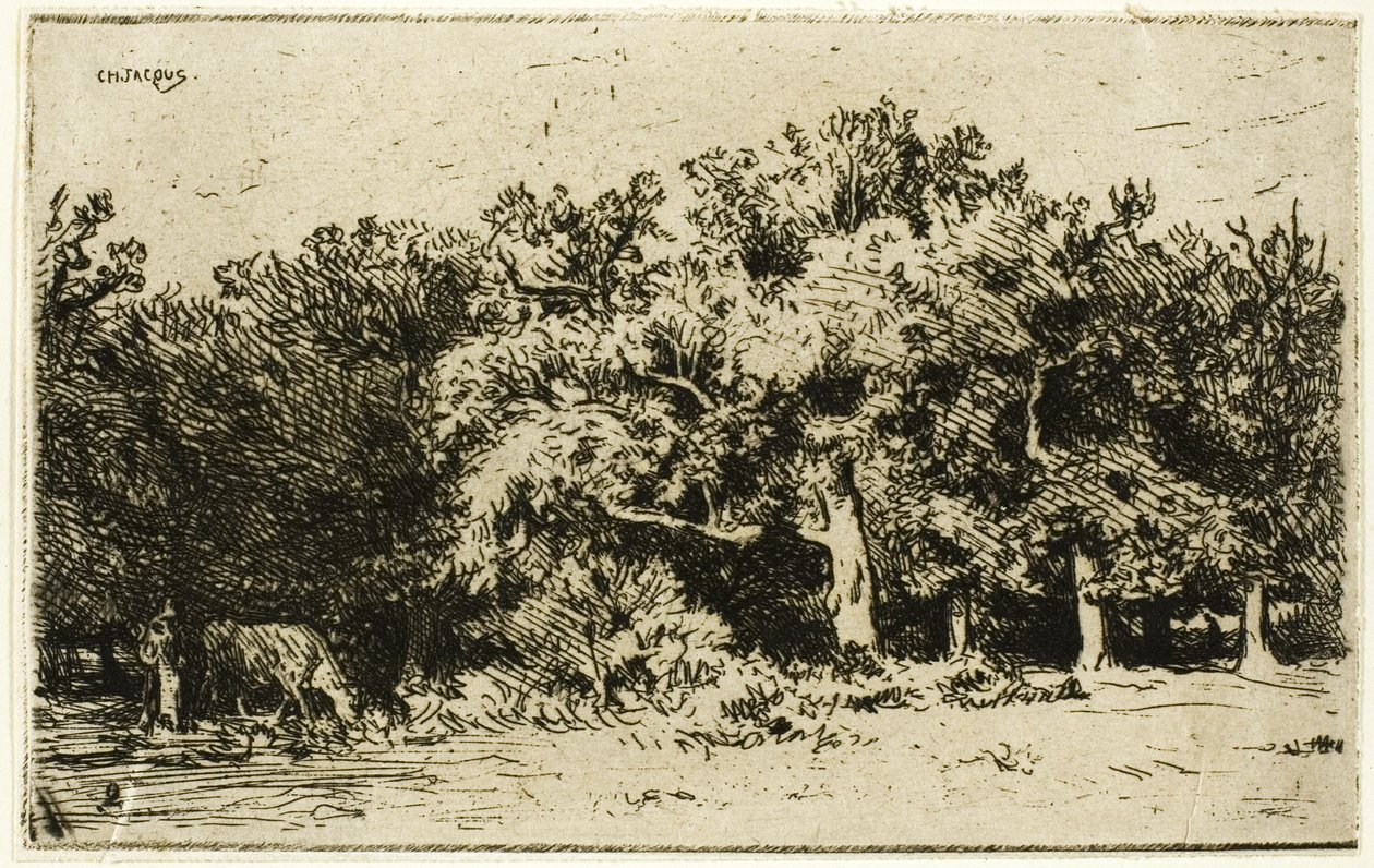 En del af skoven Fontainebleau af Charles Emile Jacque