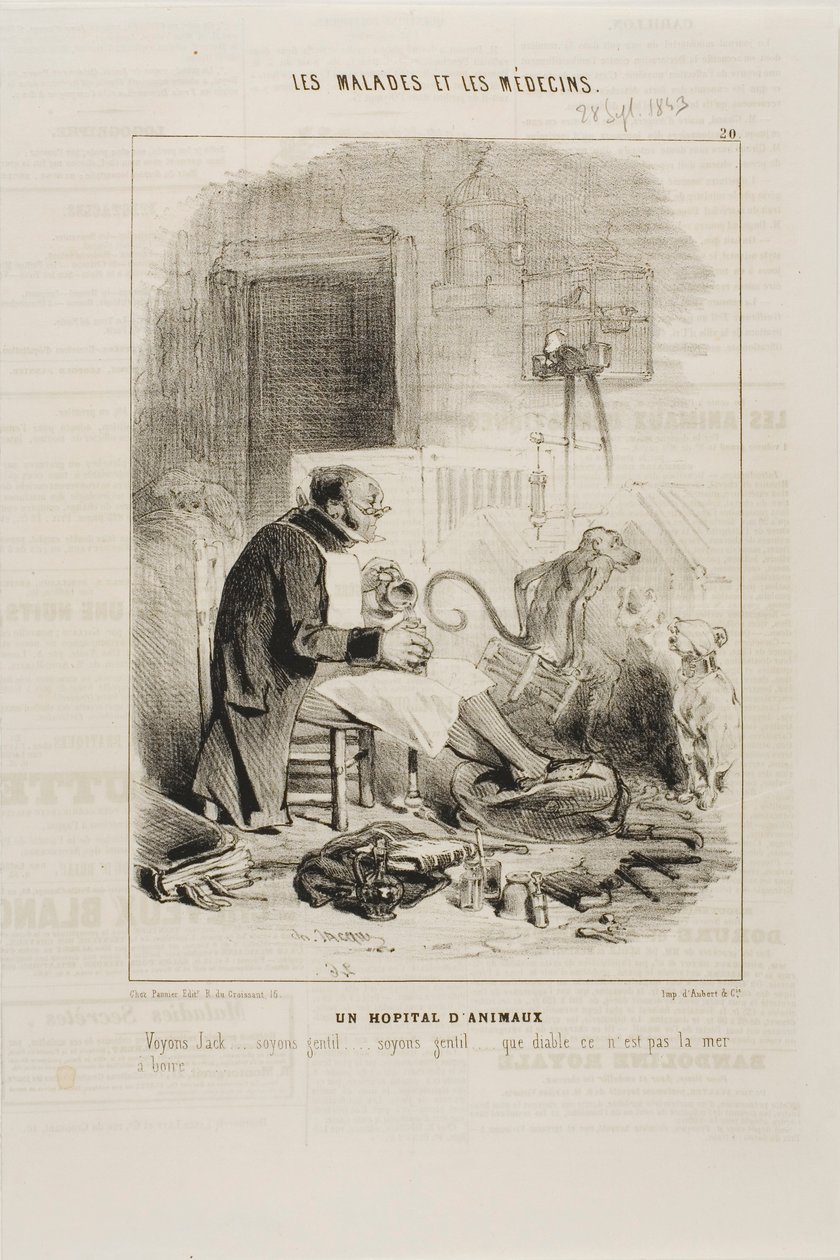 Et dyrehospital (plade 20) af Charles Emile Jacque