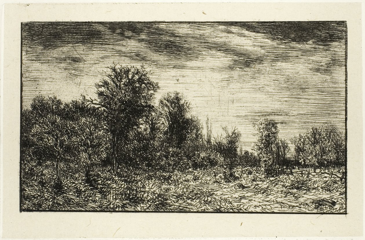 Edge of a Wood, under overskyet himmel af Charles Emile Jacque
