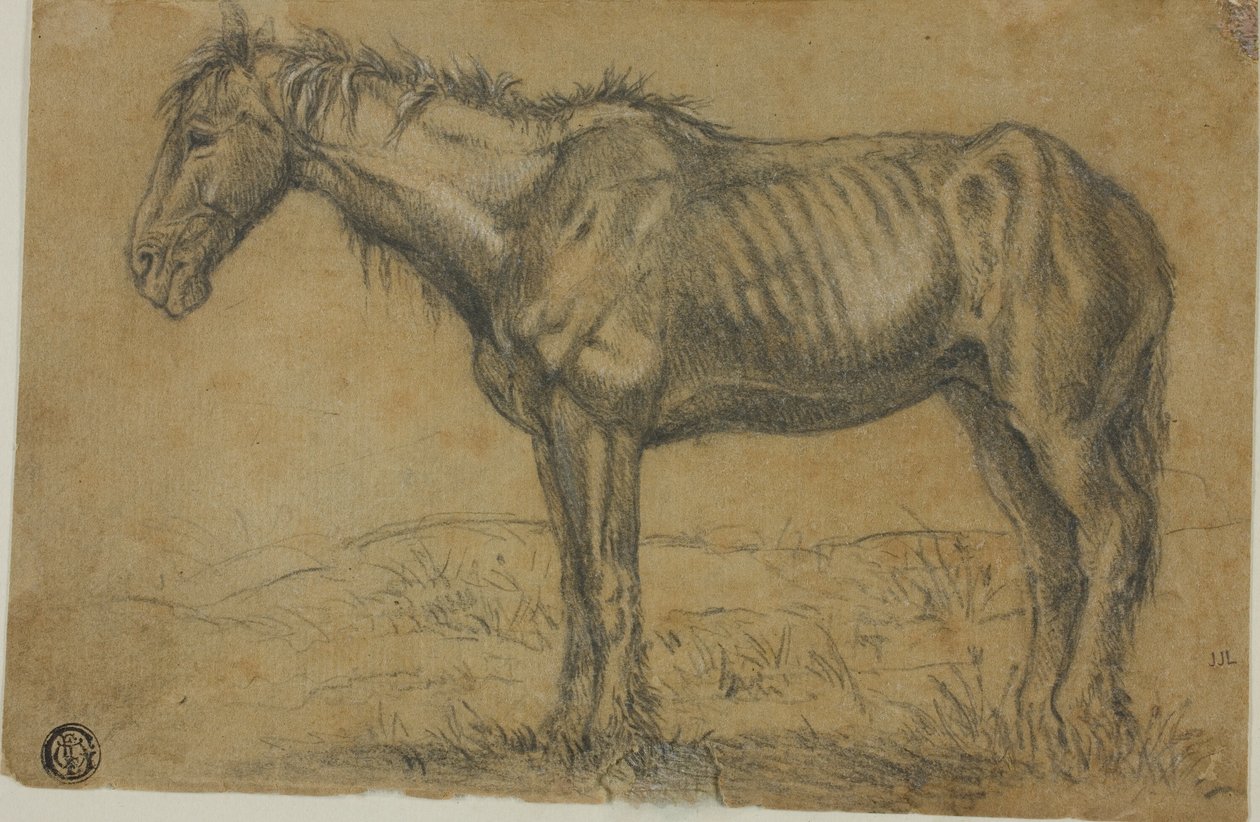 Afmagret hest (recto); Frontalbillede af en hest (verso) af Charles Emile Jacque