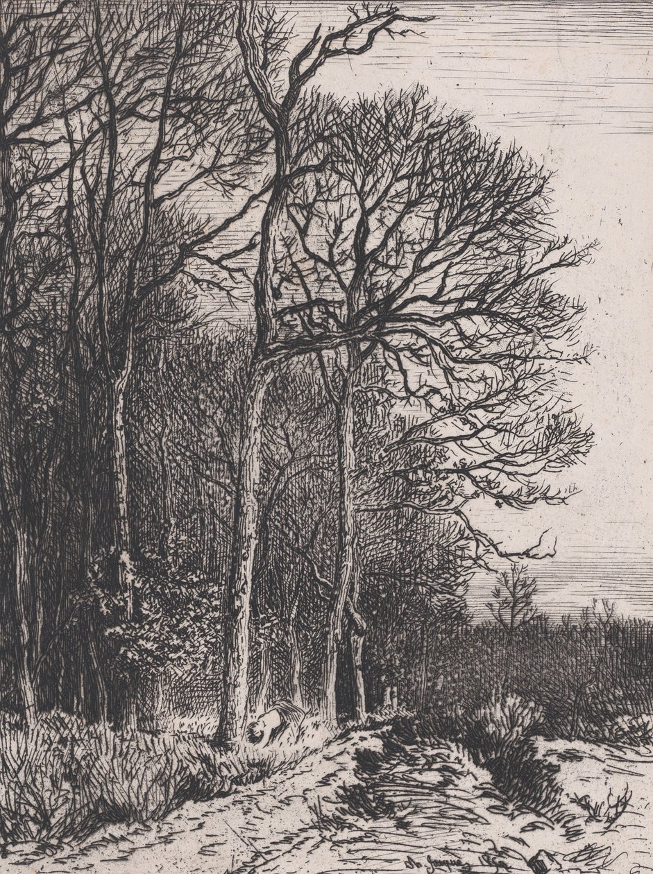 Edge of the Wood, 1846. af Charles Emile Jacque