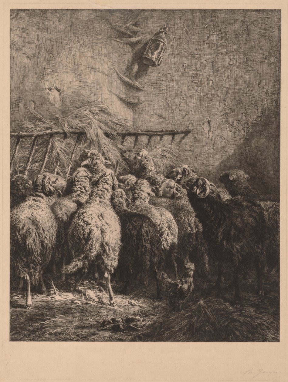 Fåregård i Béarn af Charles Emile Jacque