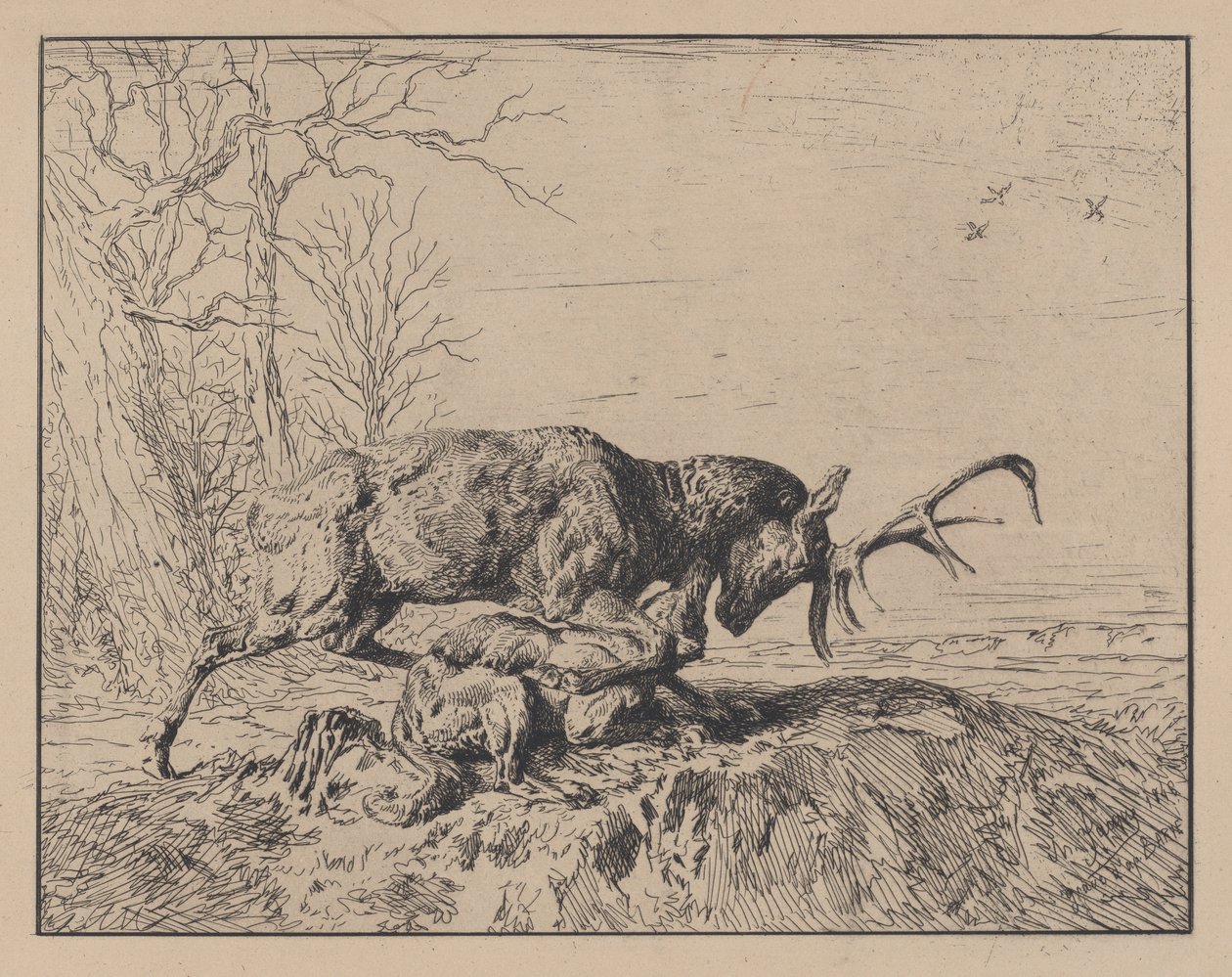 Hjort, der kæmper mod en ulv, efter Antoine Louis Barye, 1846. af Charles Emile Jacque