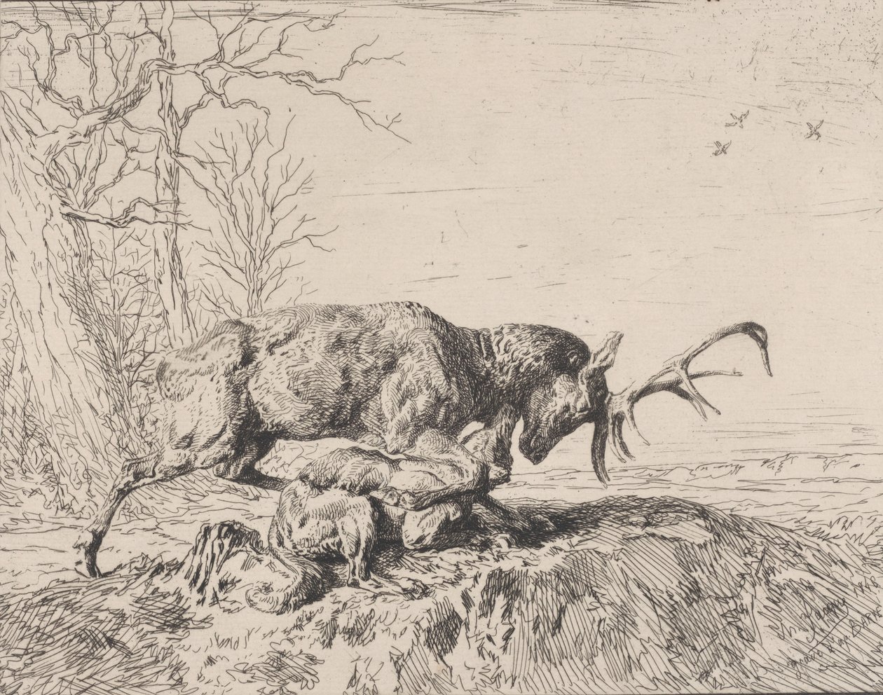 Hjort, der kæmper mod en ulv, efter Antoine Louis Barye, 1846. af Charles Emile Jacque