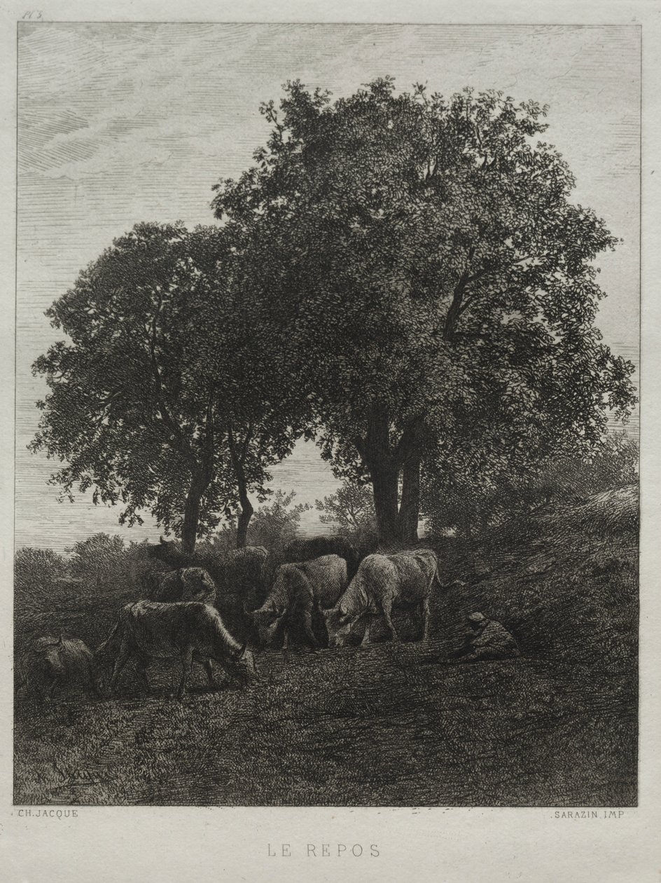 Roen. af Charles Emile Jacque