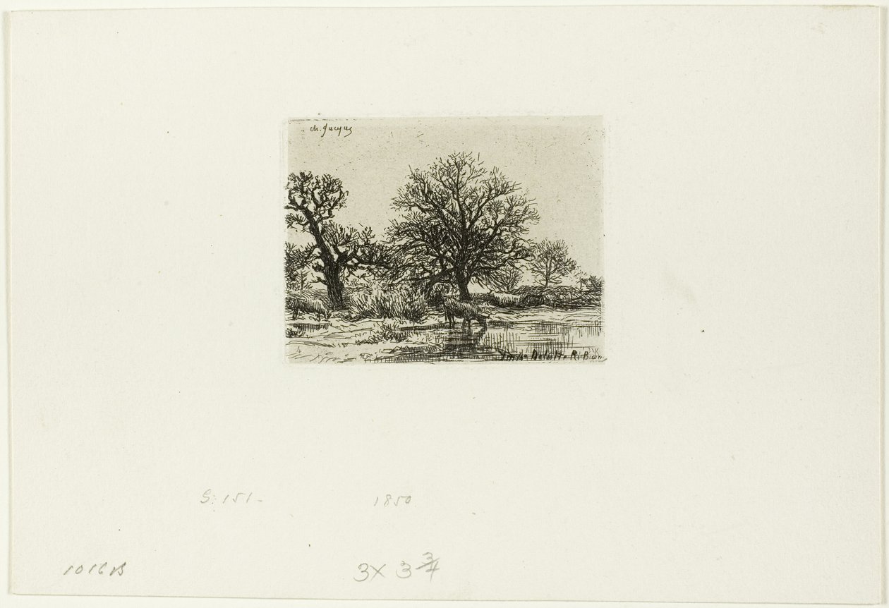 Træer og køer nær en dam af Charles Emile Jacque