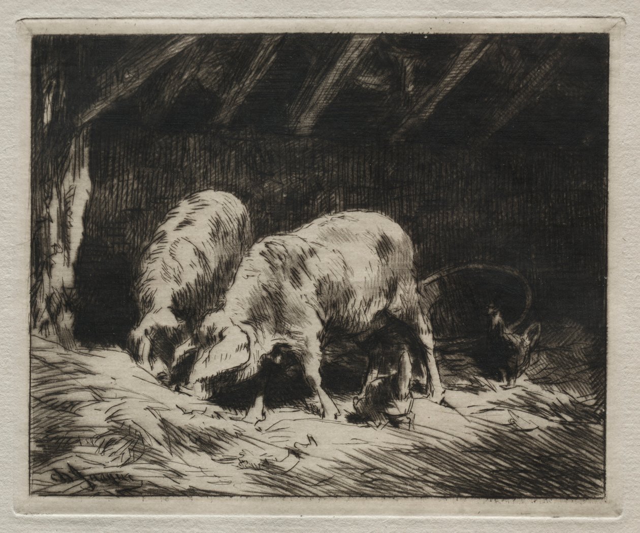 To Svin af Charles Emile Jacque