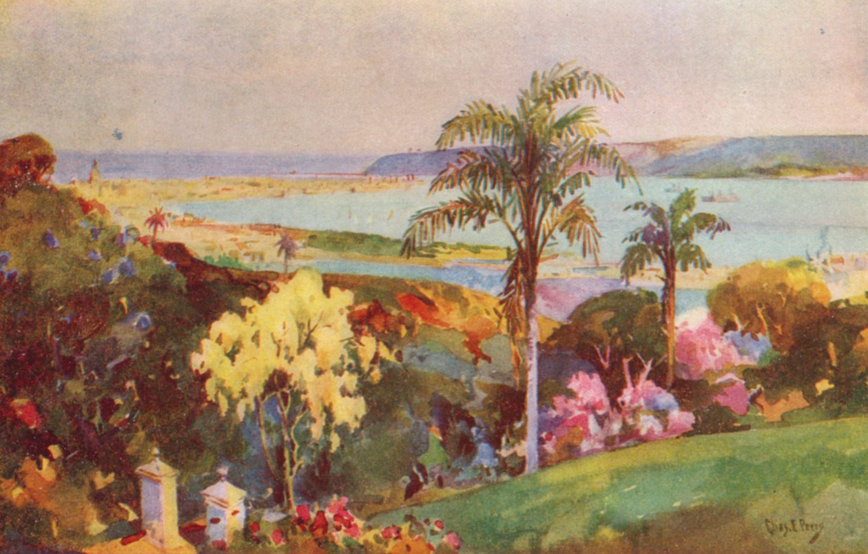 Havnen i Natal, Durban (farvelitografi) af Charles Ernest Peers
