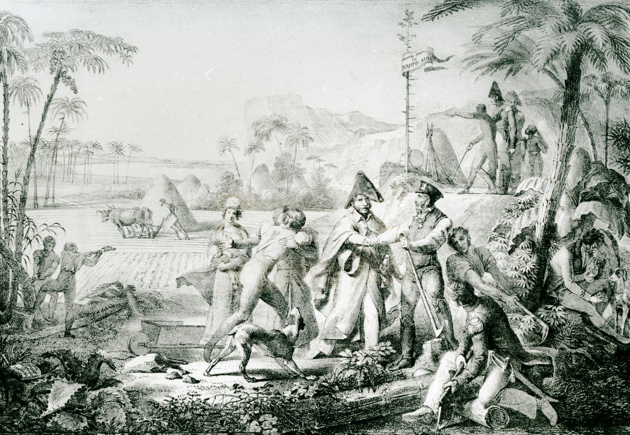 Kun laurbærtræerne vil vokse uden dyrkning, illustration til general Lallemand (1774-1839) på Champ dAsile, 1819, efter Rullmann af Charles Etienne Pierre Motte
