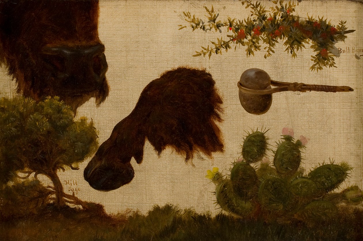 Undersøgelse for "The Wounded Buffalo": bakkesalvie, bøffelhoved og hov, tyrebær, stenøkse og kaktus … af Charles Ferdinand Wimar