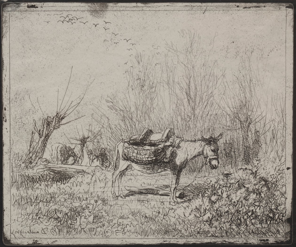 Et æsel i marken, originalt aftryk 1862, trykt i 1921. af Charles Francois Daubigny