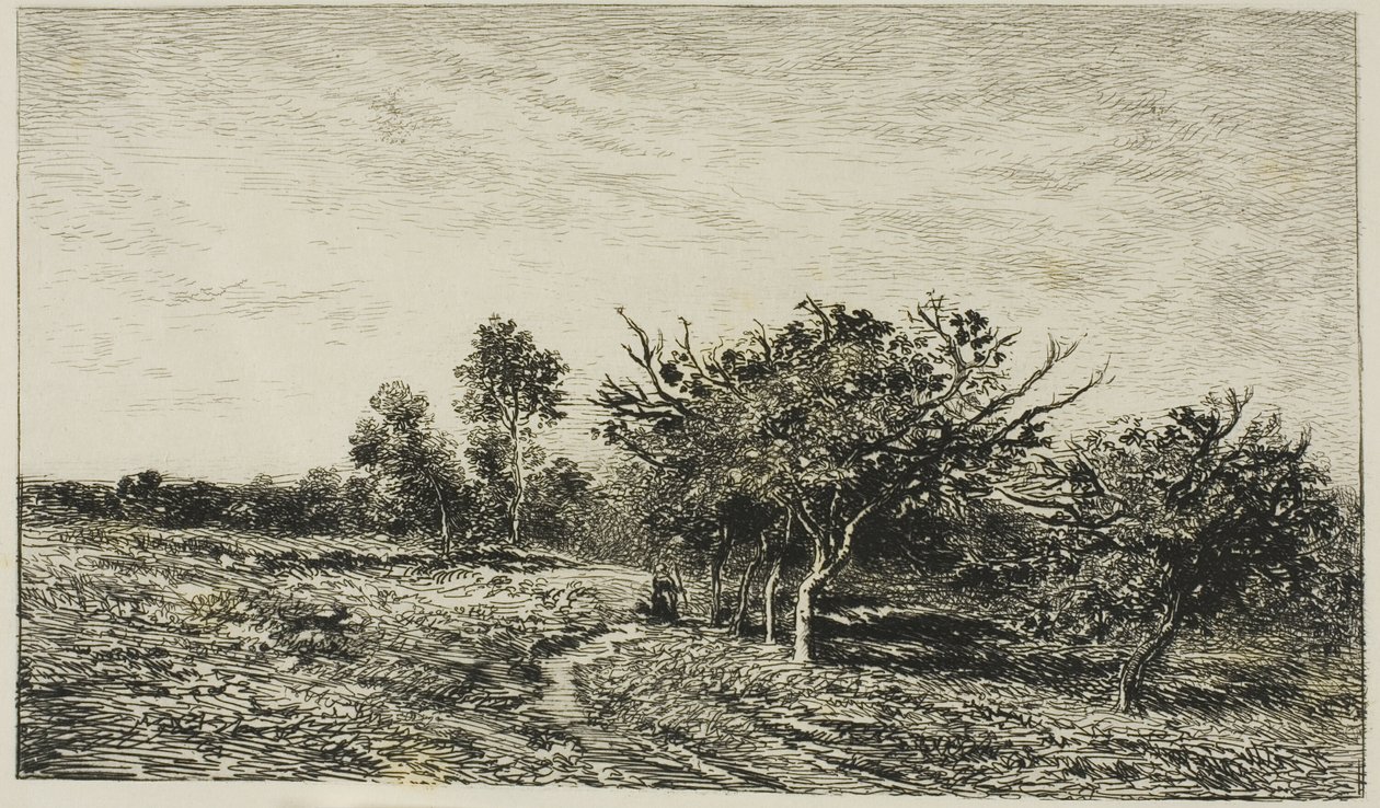 Æbletræer i Auvers af Charles Francois Daubigny