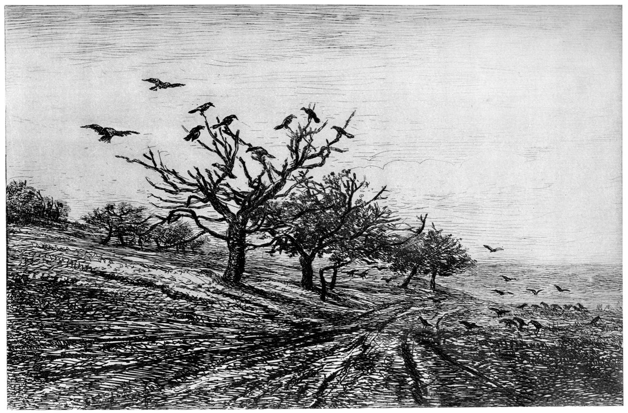 Kragetræ, 1840-1875, 1924 af Charles Francois Daubigny
