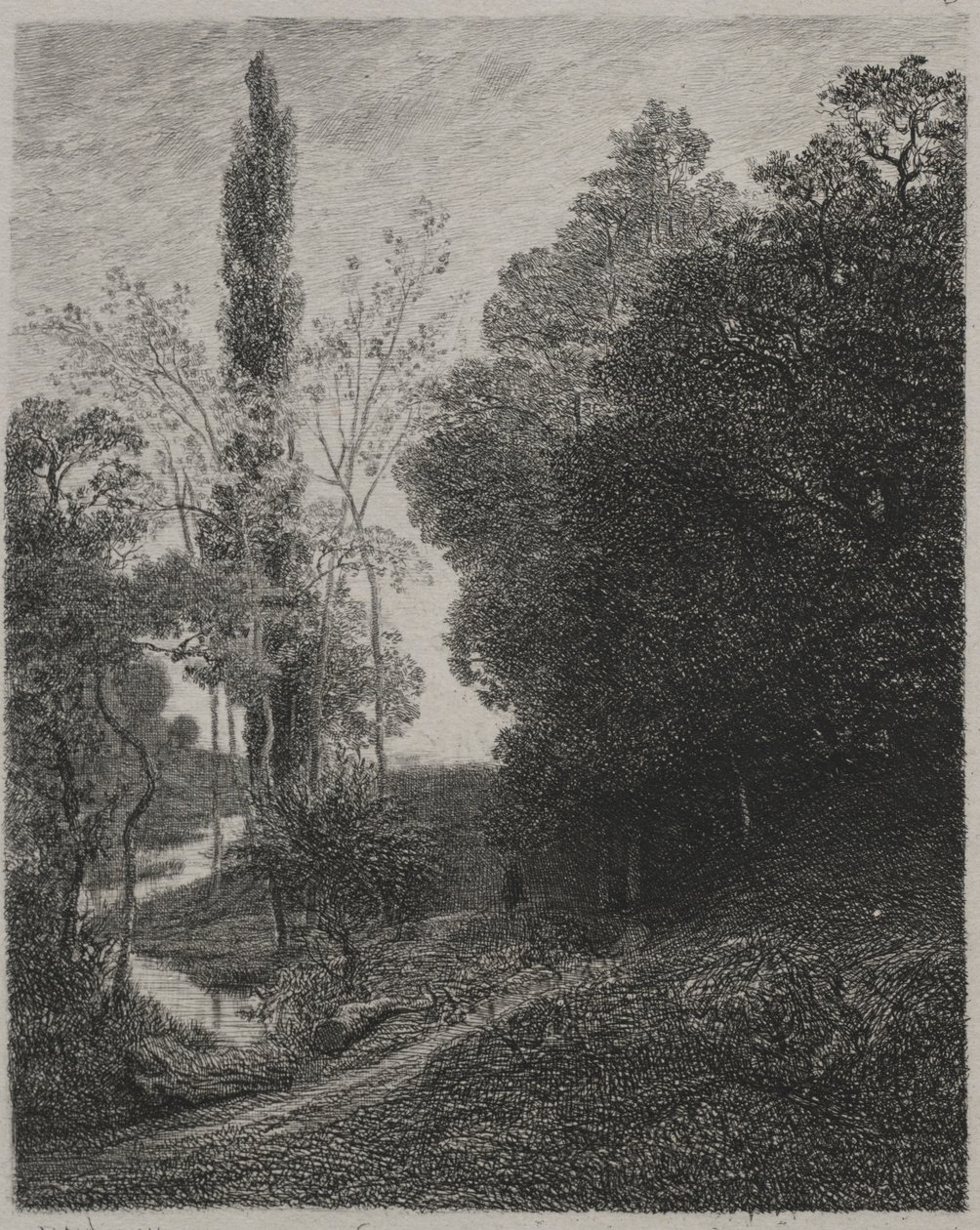 Banks of the River Cousin, 1850. af Charles Francois Daubigny