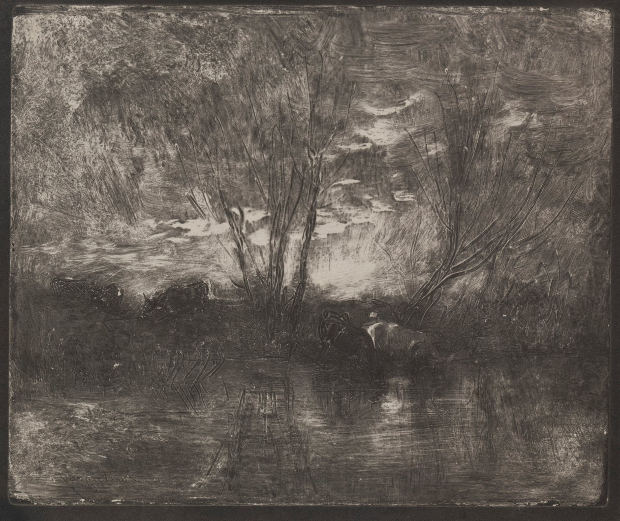 Køer på et vandingssted, originalt aftryk 1862, trykt i 1921. af Charles Francois Daubigny