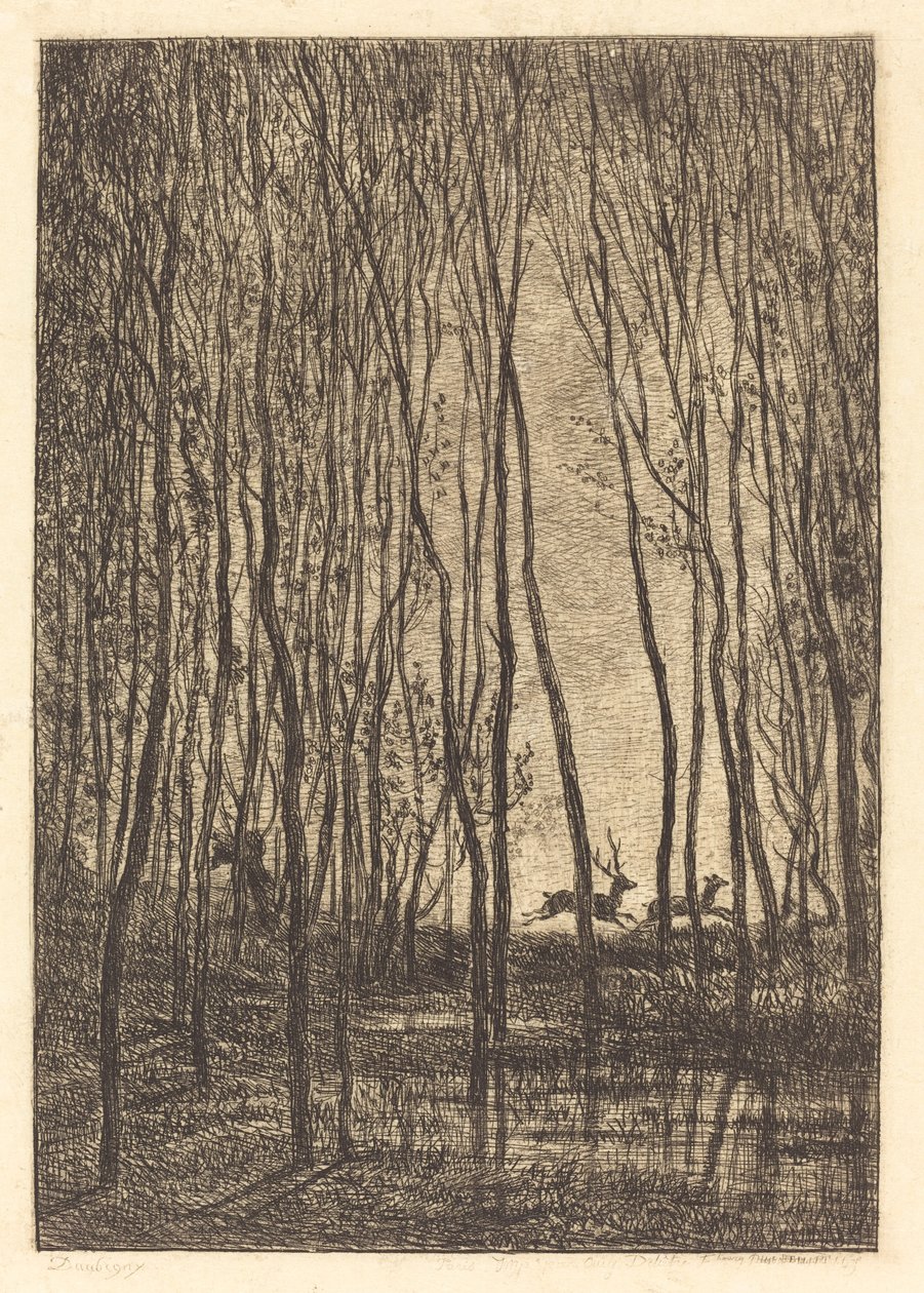 Hjorte i skoven af Charles Francois Daubigny