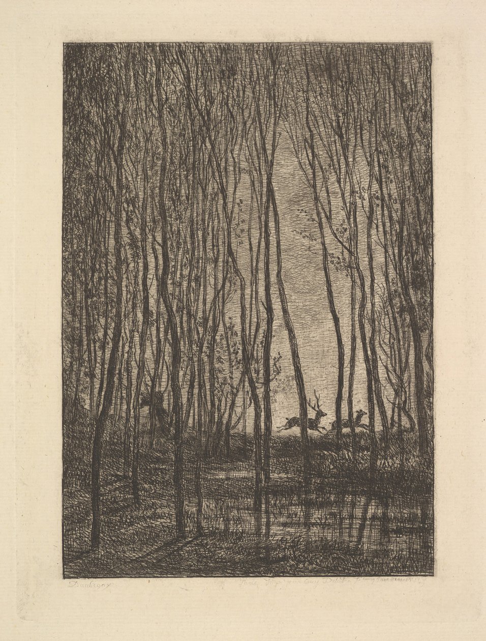 Hjorte i skoven, 1850. af Charles Francois Daubigny