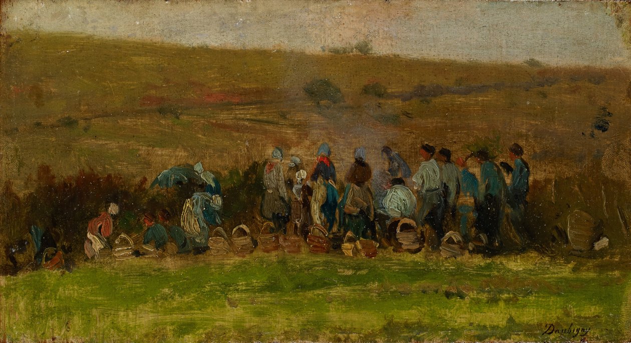 Landmænd høster kartofler (olie på eg) af Charles Francois Daubigny
