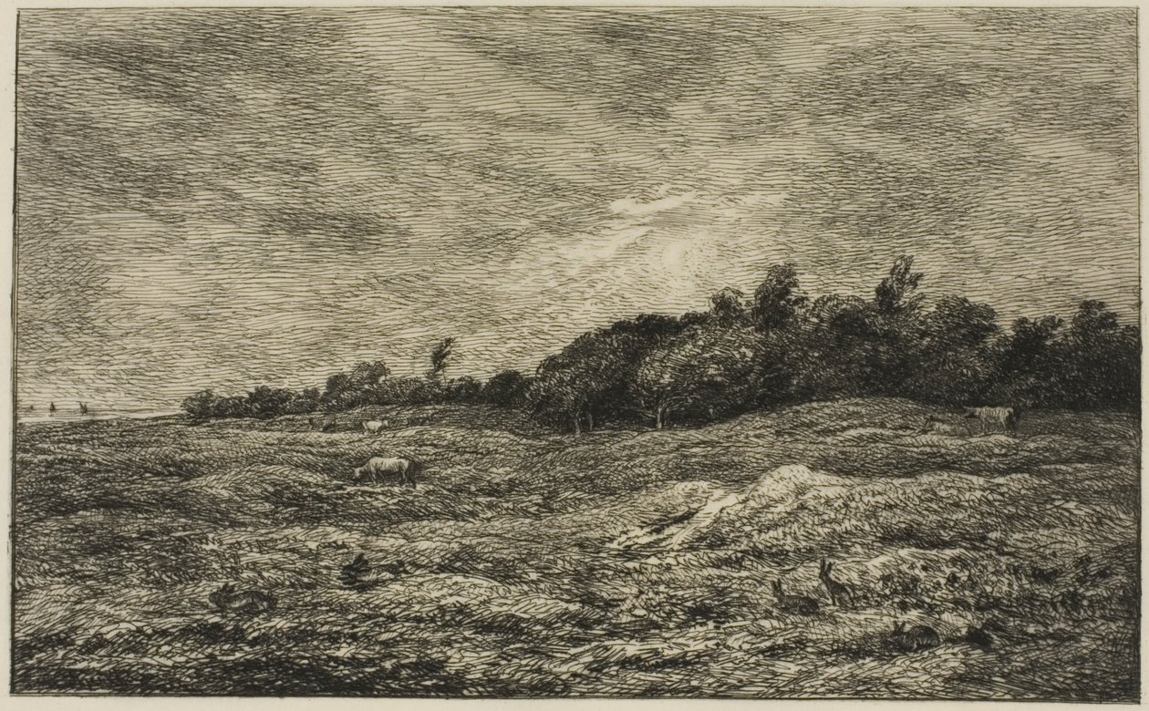 Pre des Graves i Villerville (Calvados) af Charles Francois Daubigny