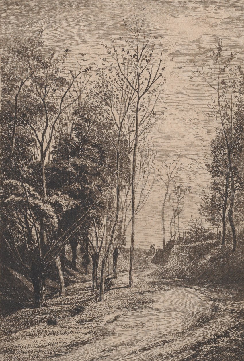 Små fugle, 1850. af Charles Francois Daubigny