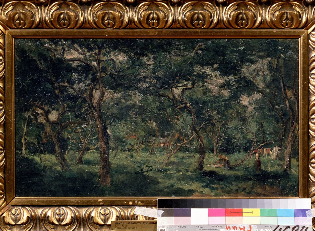 ""Olivenlunden"" (Oliveplantage) Maleri af Charles Francois Daubigny (1817-1878) 1870-1873 Pushkin Museum, Moskva af Charles Francois Daubigny