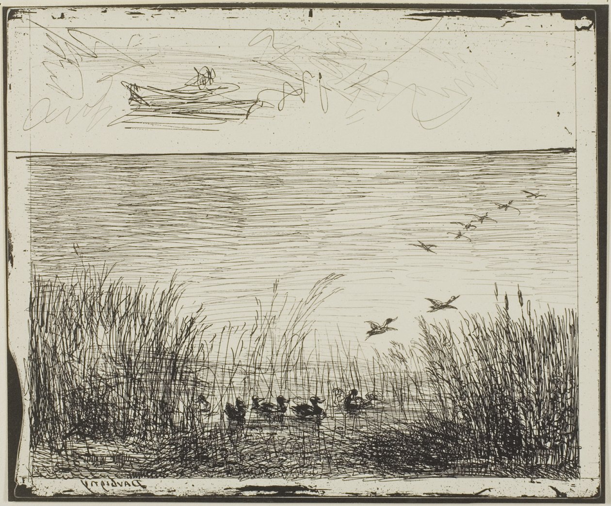 Marsh med ænder af Charles Francois Daubigny