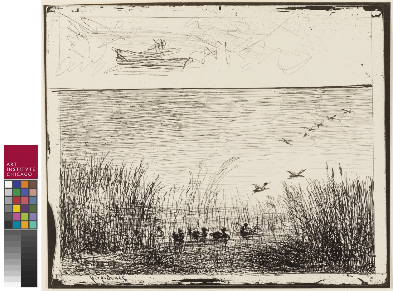 Marsk med ænder, 1862 af Charles Francois Daubigny