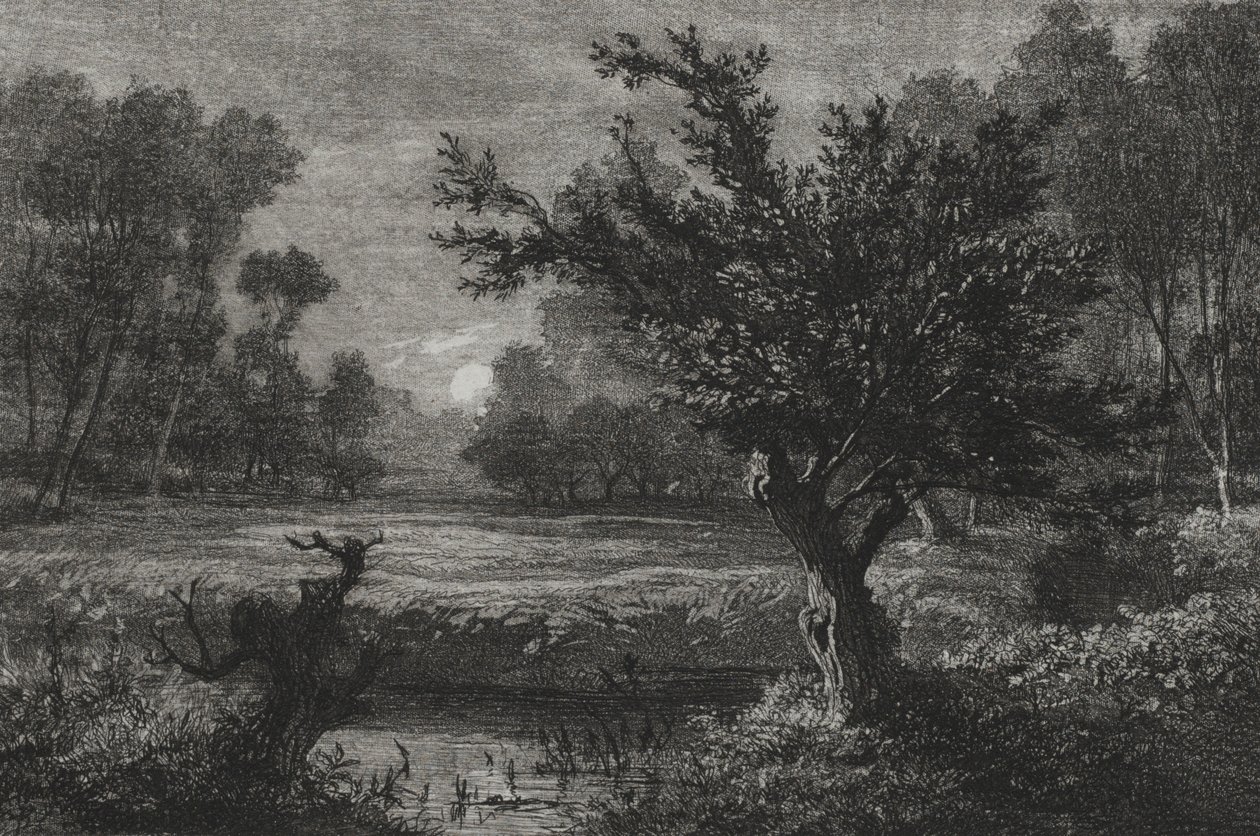 Måneopgang i Andilly Valley, 1845. af Charles Francois Daubigny