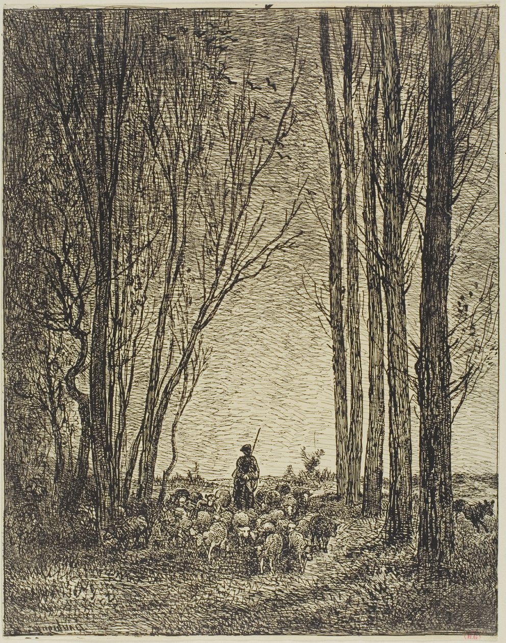 Flokkens tilbagevenden af Charles Francois Daubigny