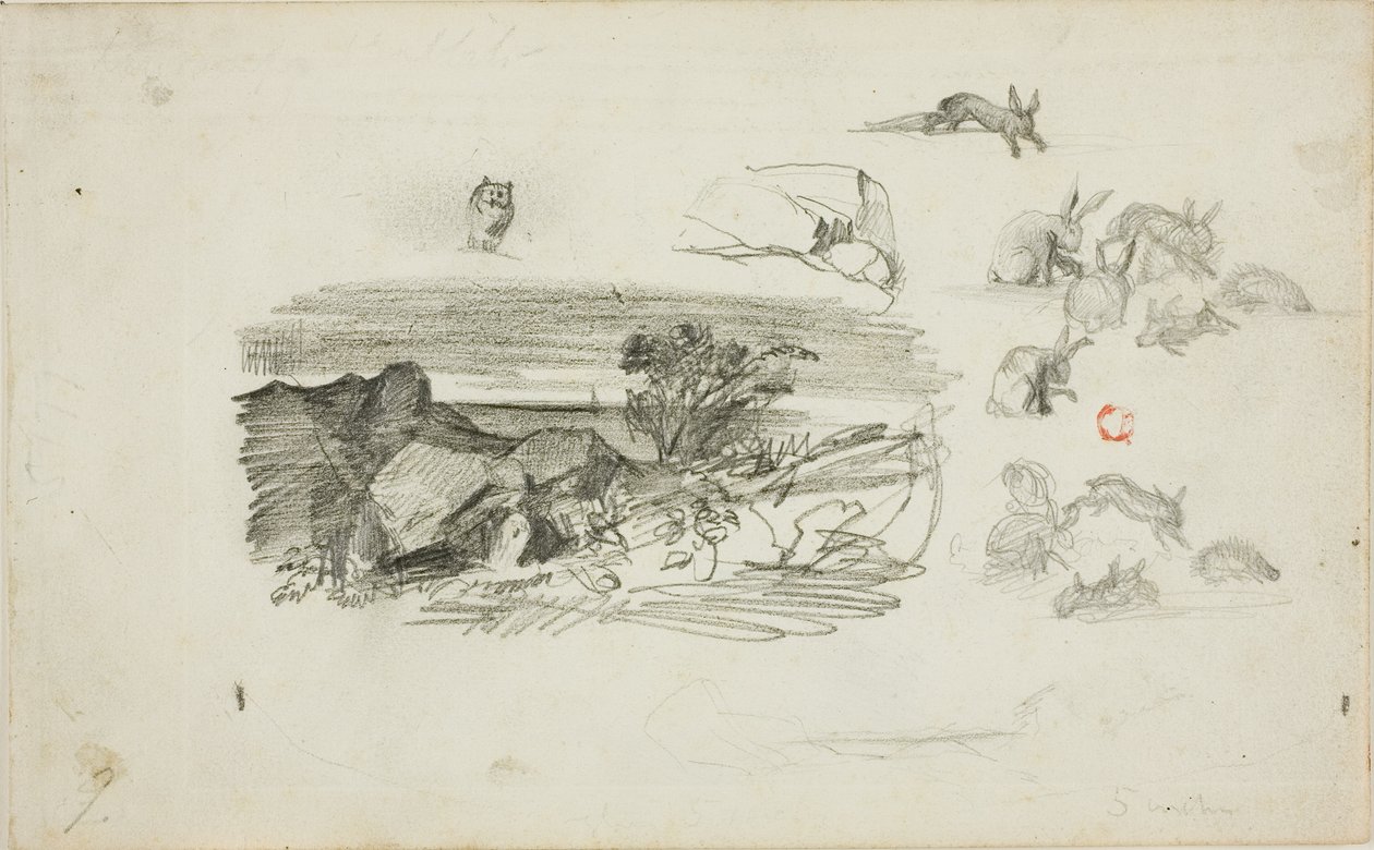 Skitser: Rocky Setting og kaniner af Charles Francois Daubigny