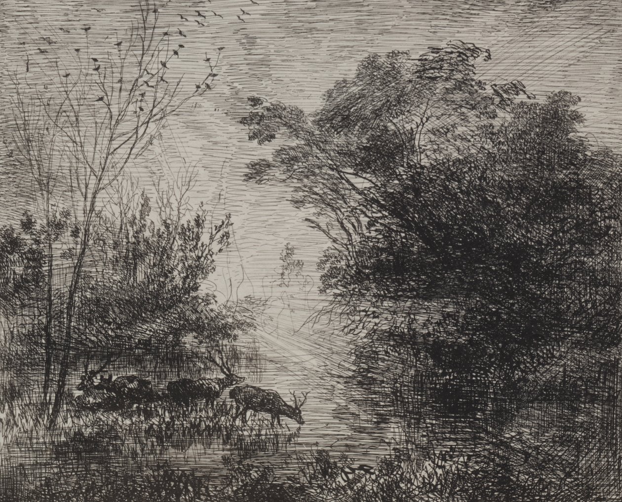Hjorte af Charles Francois Daubigny