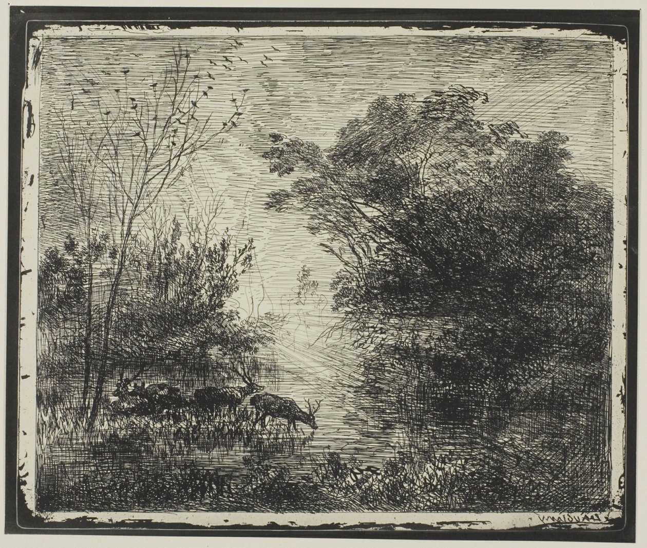 Hjorte af Charles Francois Daubigny