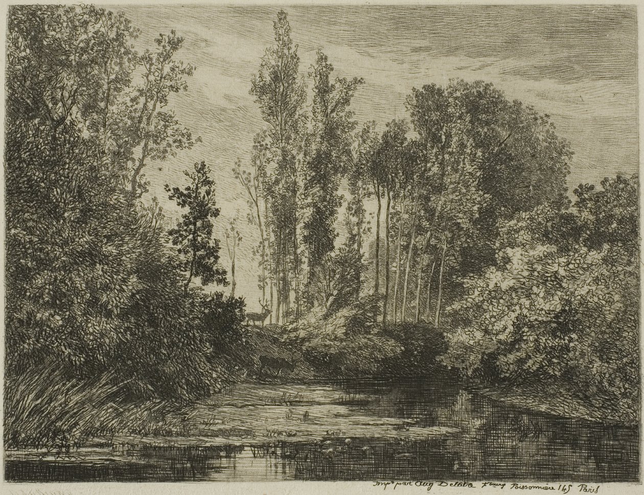 Hjorte ved vandkanten af Charles Francois Daubigny
