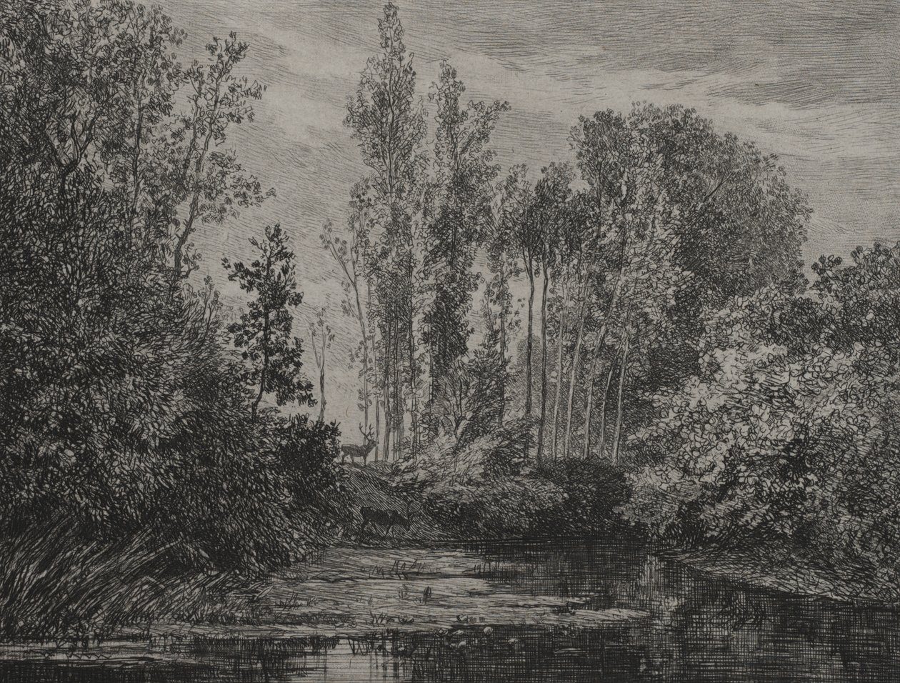 Hjorte i vandkanten af Charles Francois Daubigny