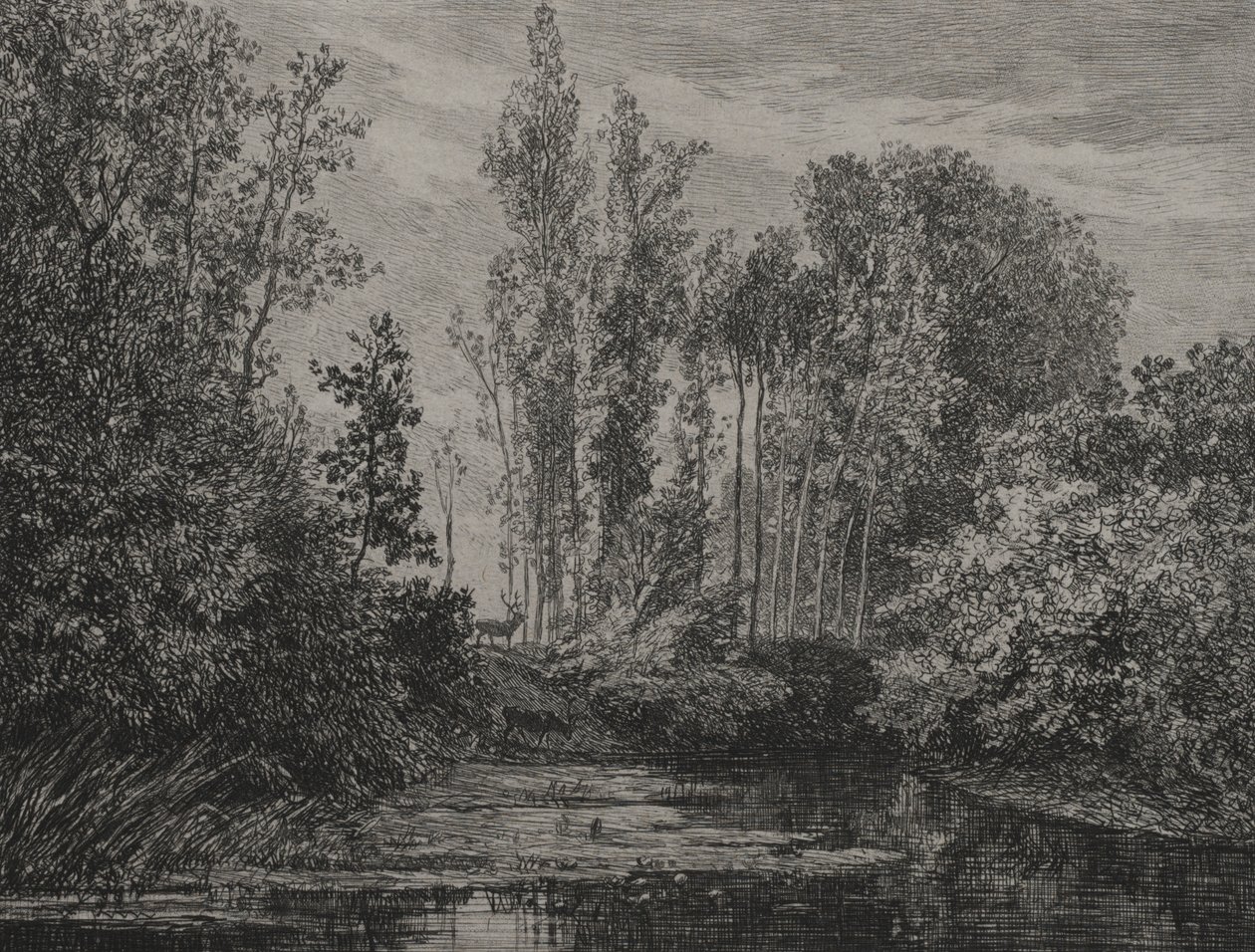 Hjorte ved vandkanten, 1850. af Charles Francois Daubigny