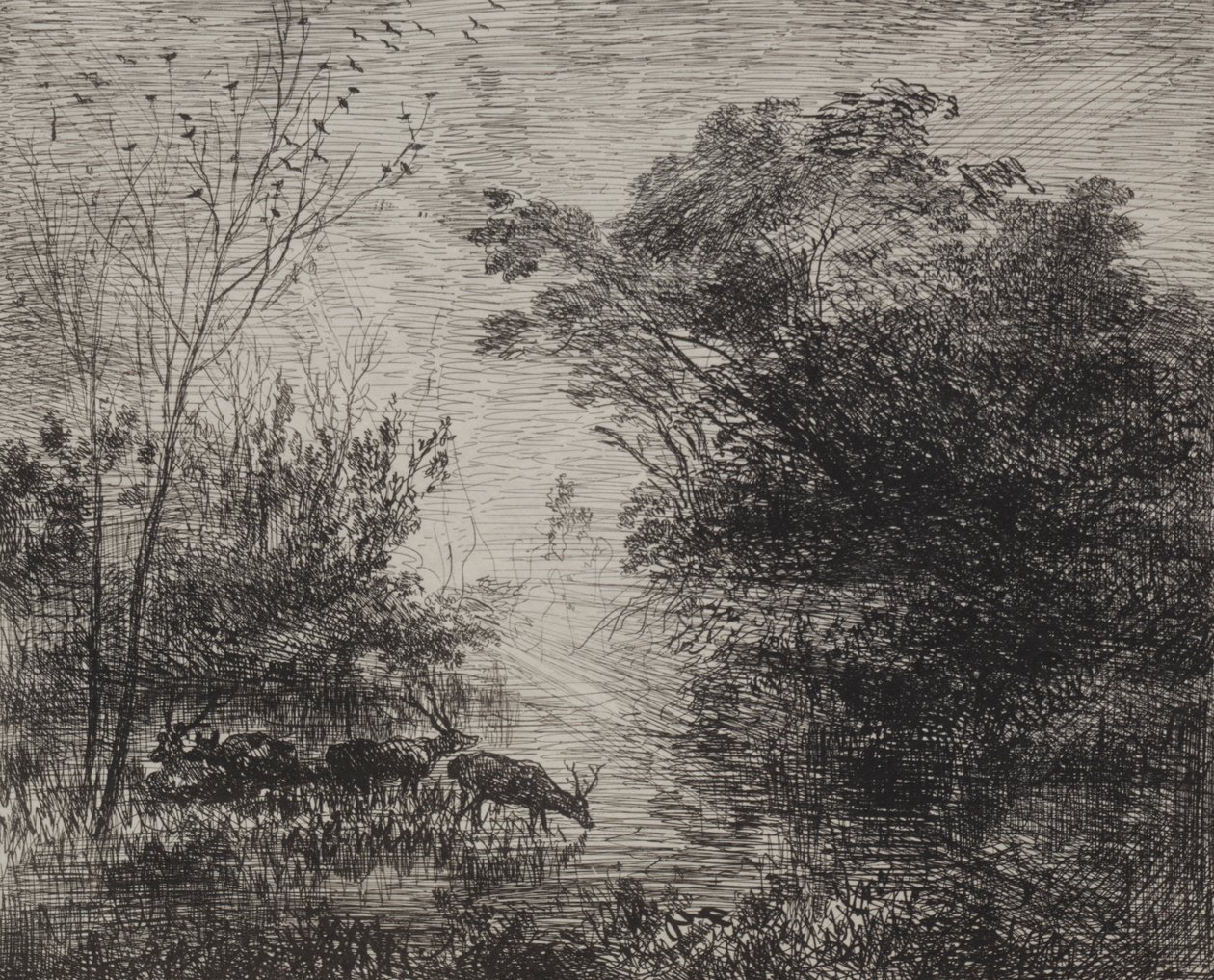 Hjorte, originalt aftryk 1862, trykt i 1921. af Charles Francois Daubigny