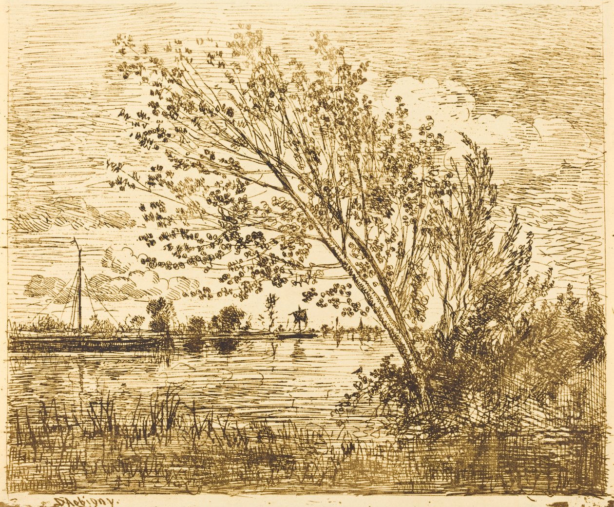 Stand of Alders af Charles Francois Daubigny