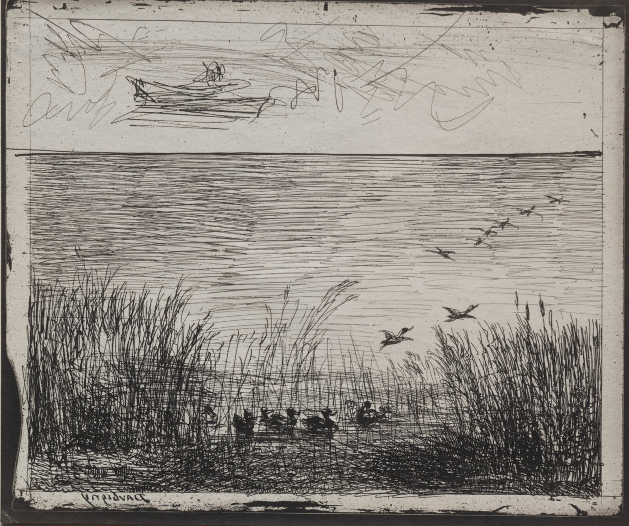 Sump med ænder af Charles Francois Daubigny