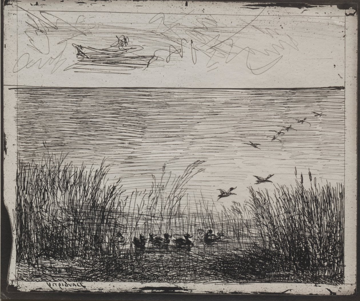 Sump med ænder, originalt aftryk 1862, trykt i 1921. af Charles Francois Daubigny