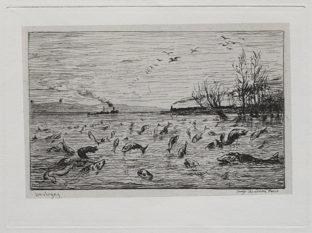 The Boat Trip: Joicing of the Fish at the Departure of the Cabin Boy The Fish, 1861. af Charles Francois Daubigny