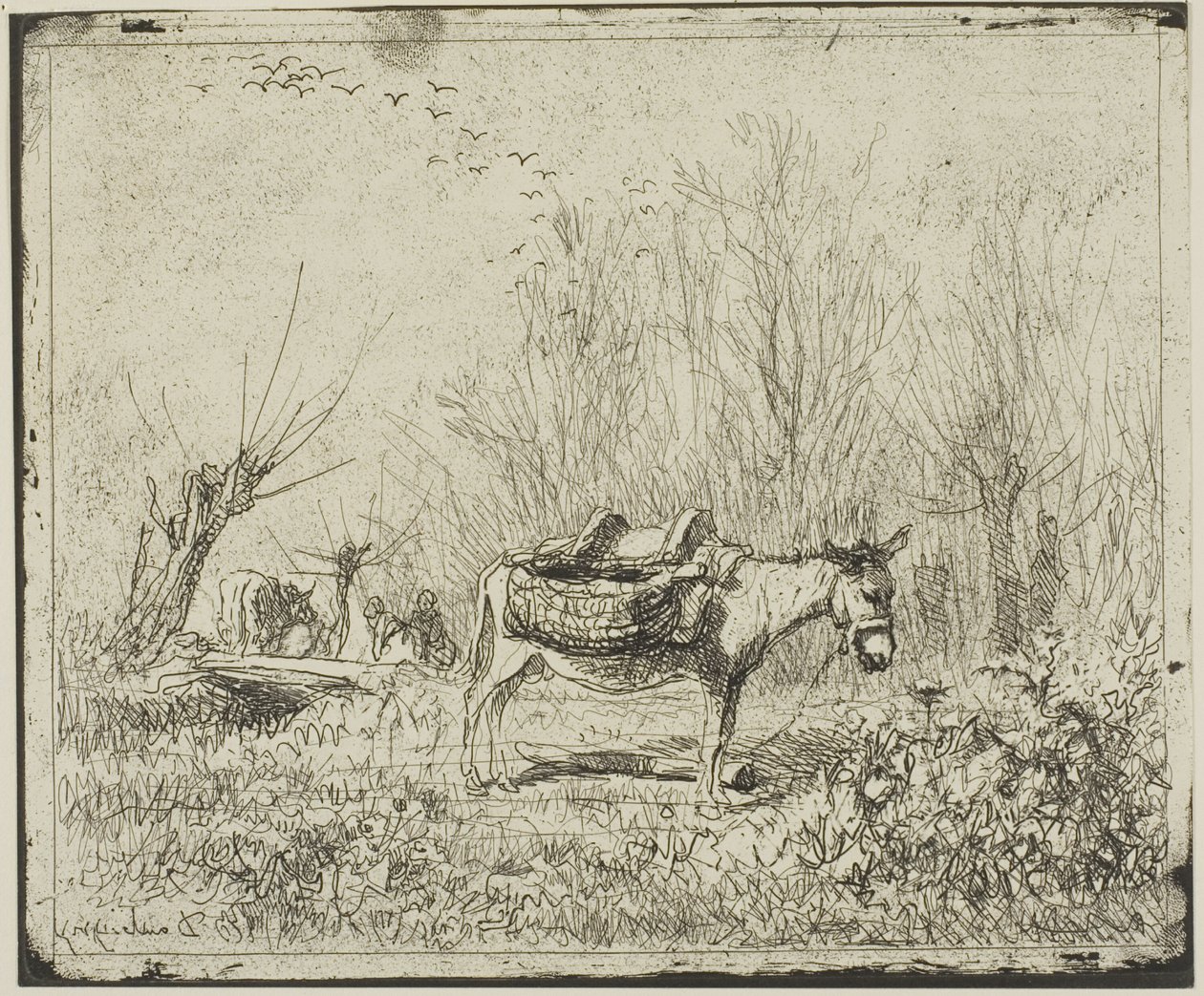 Æslet på engen af Charles Francois Daubigny