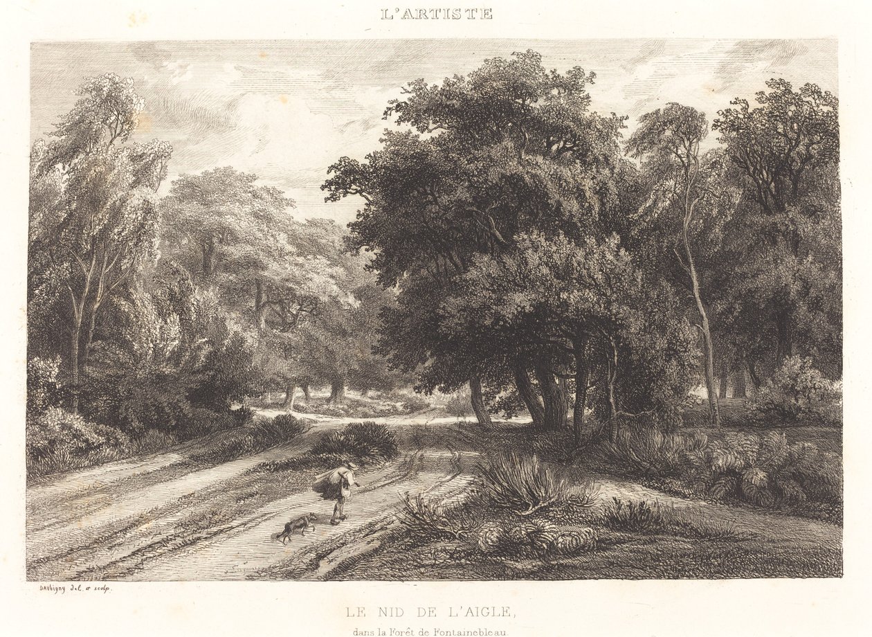Ørnereden i skoven Fontainebleau (Le nid de l