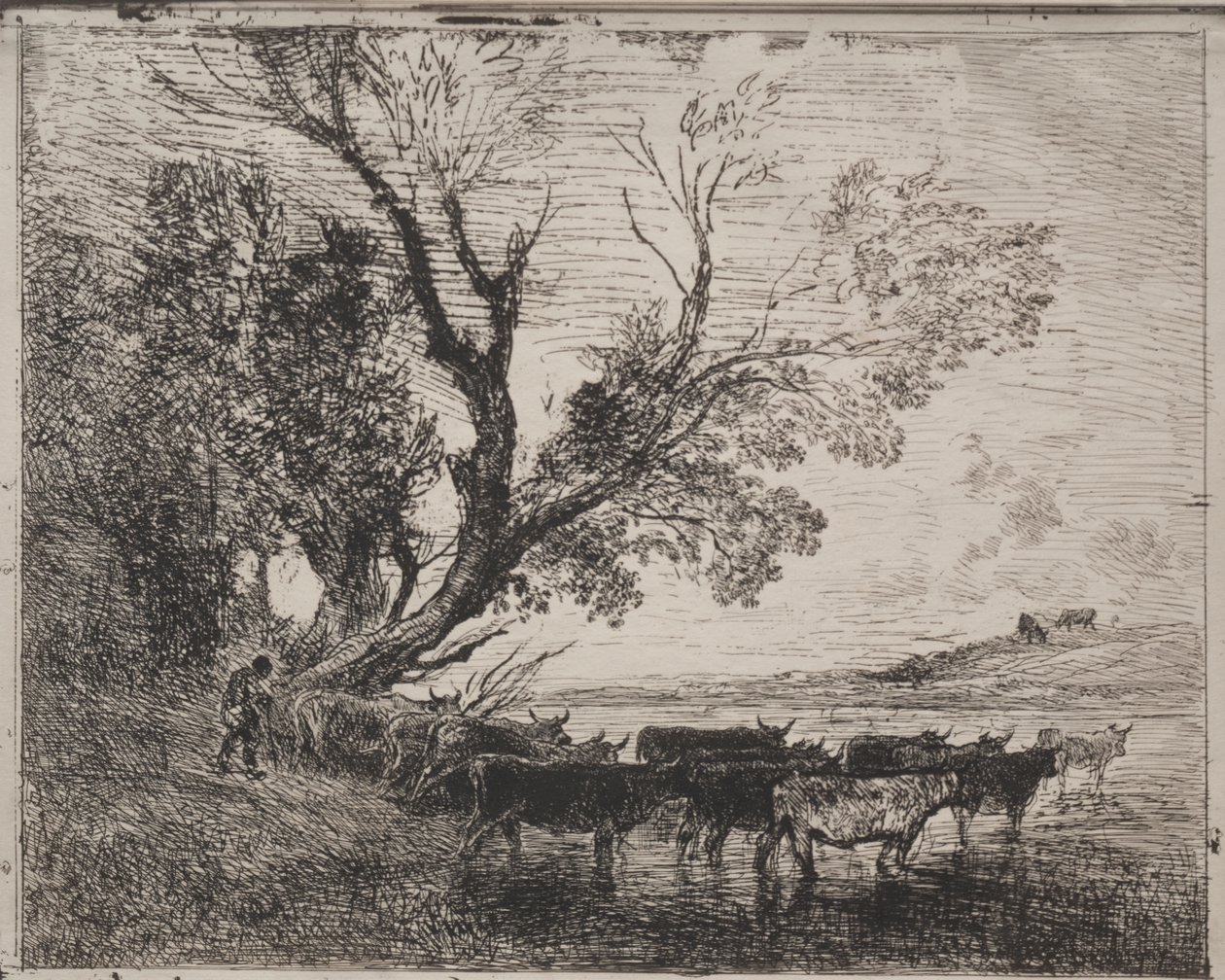 Forden af Charles Francois Daubigny