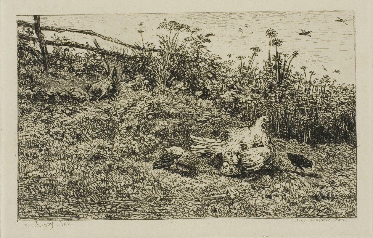 Hønen og hendes kyllinger af Charles Francois Daubigny