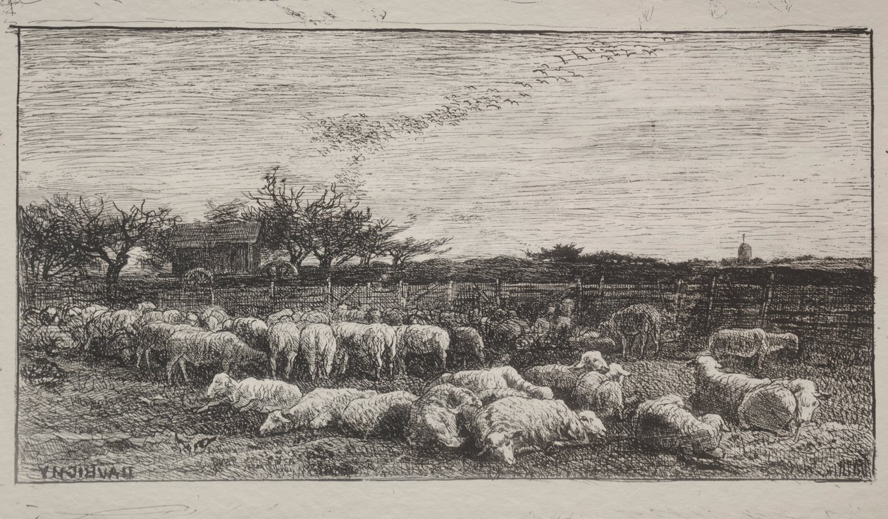 Den store fårefold, originalt aftryk 1862, trykt i 1921. af Charles Francois Daubigny